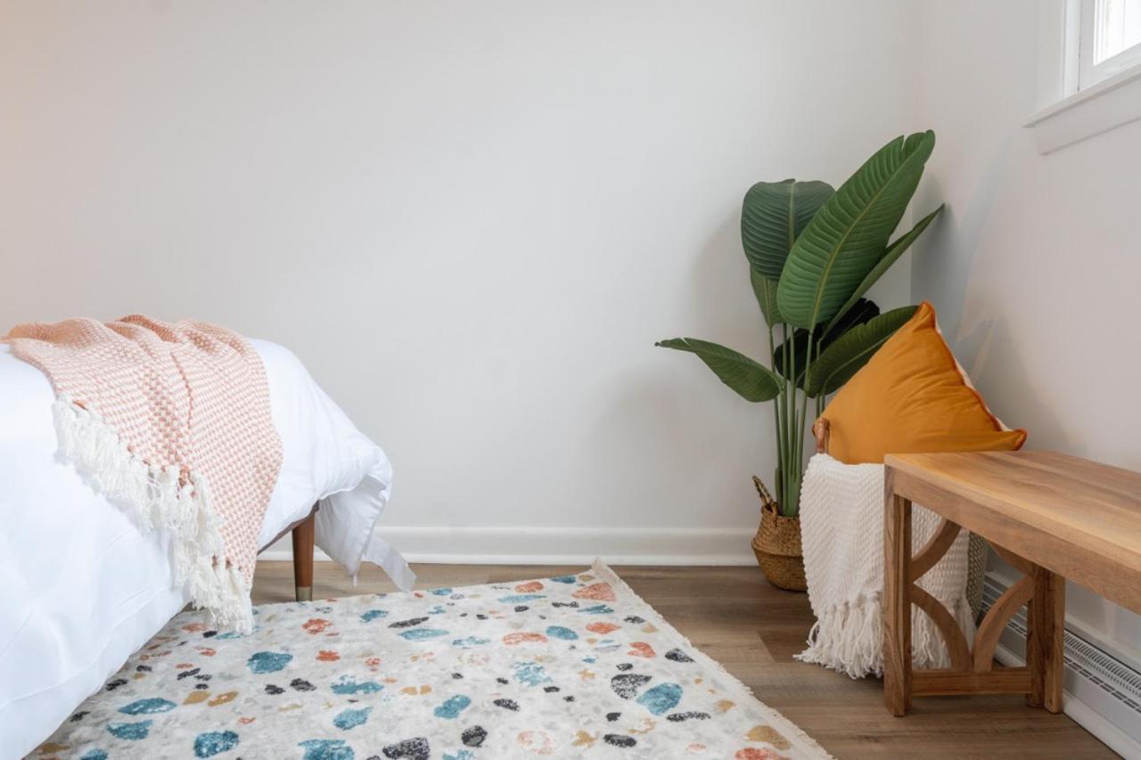 Retro Retreat Renovated 2Br, Desk, No Chore List! Кінгстон Екстер'єр фото